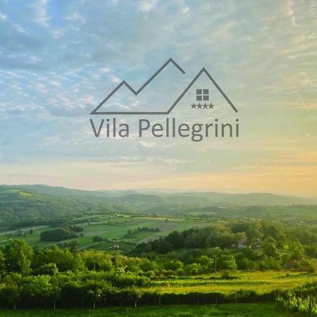 Vila Pellegrini Arandjelovac Eksteriør bilde